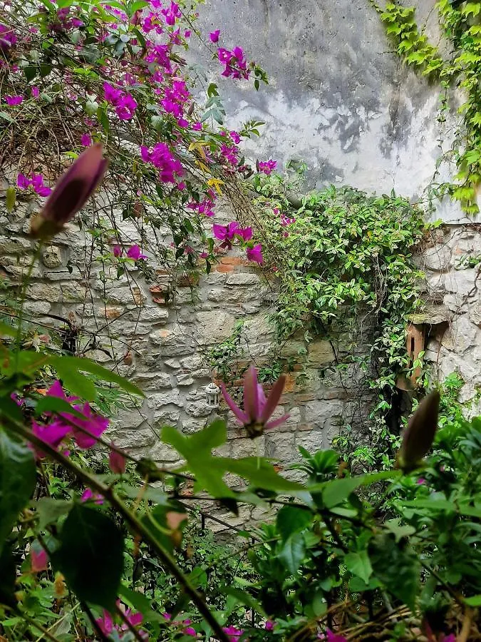 Grisia 26 Apartment Rovinj