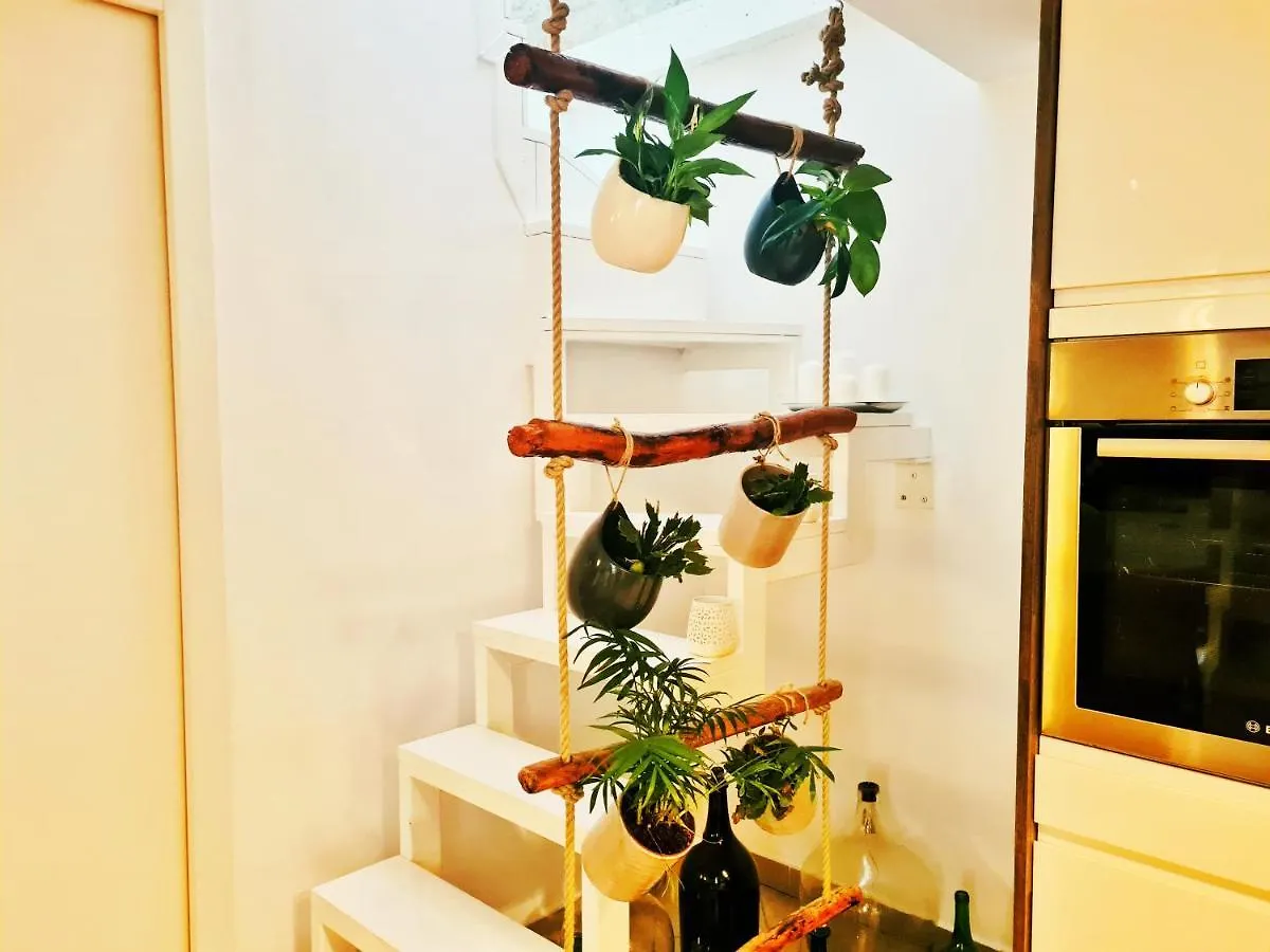 Grisia 26 Apartment Rovinj